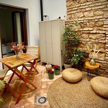 En Casco Historico De Cordoba/piscina Apartmán *