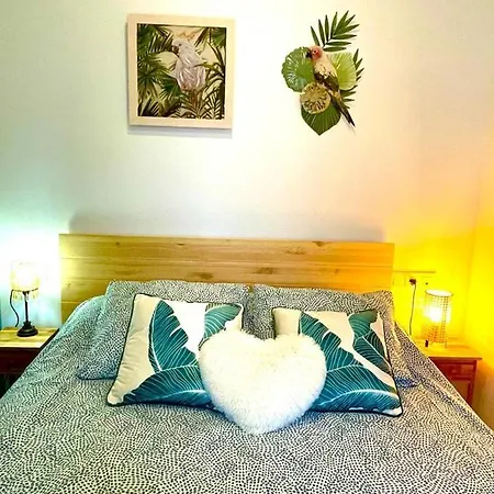Appartement En Casco Historico De Cordoba/piscina Cordoue